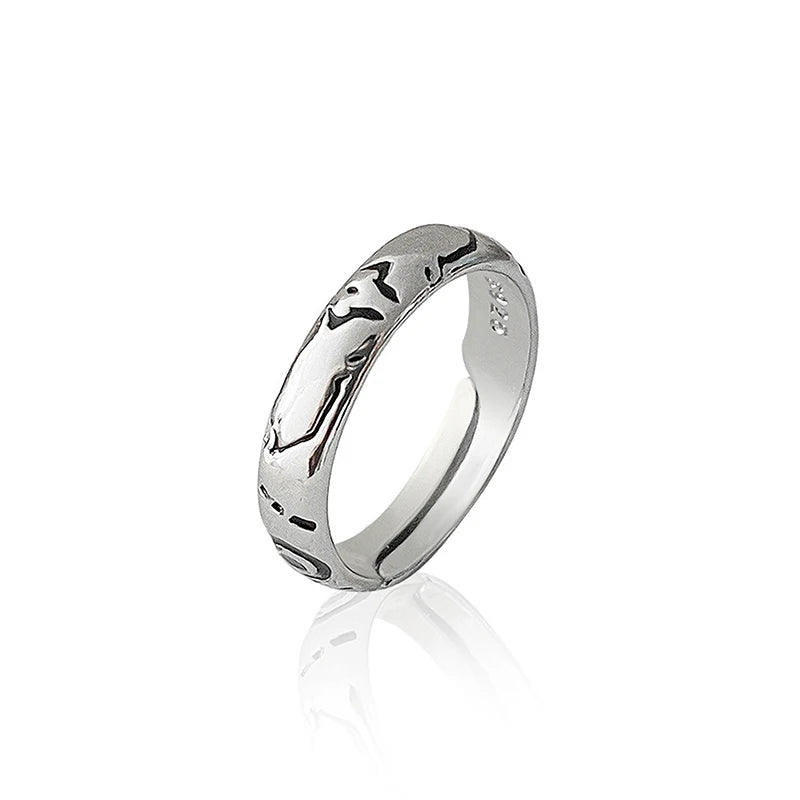 Bague de Cosplay "Le Roi des Fléaux" – Ajustable